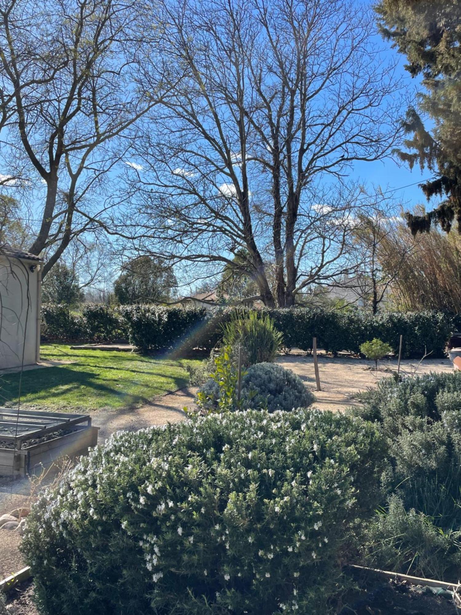 Arles Campagne Location "La Campagn'Arles" Bed & Breakfast Exterior foto