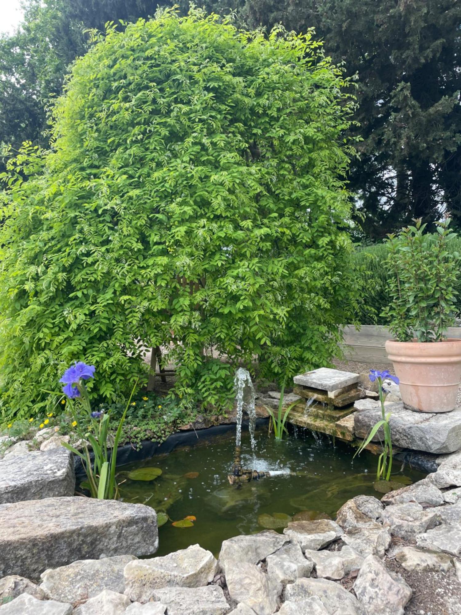 Arles Campagne Location "La Campagn'Arles" Bed & Breakfast Exterior foto